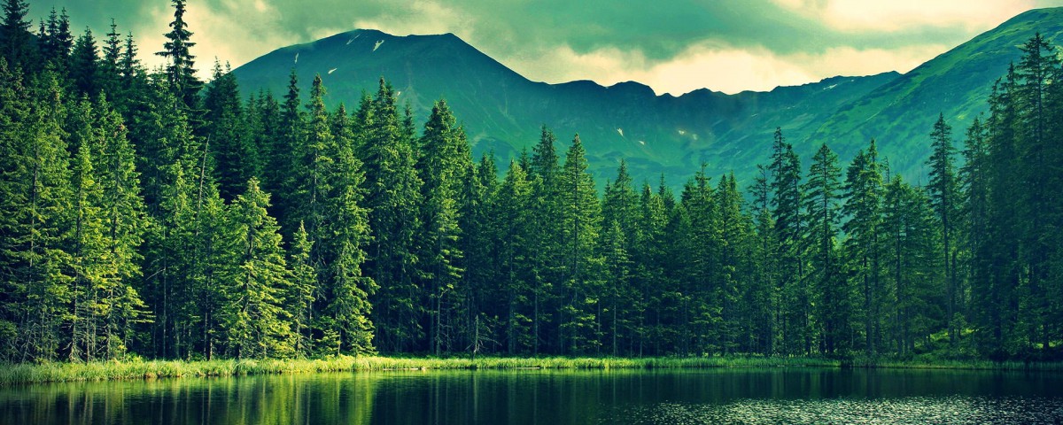 Evergreen Lake